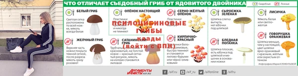 скорость Алексин