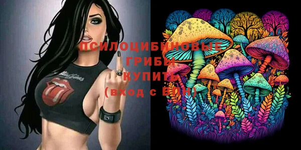 скорость Алексин